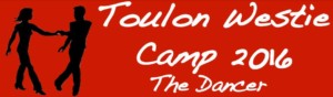 Toulon Westie Camp 2017 @ Ramirez Danse | Ollioules | Provence-Alpes-Côte d'Azur | France